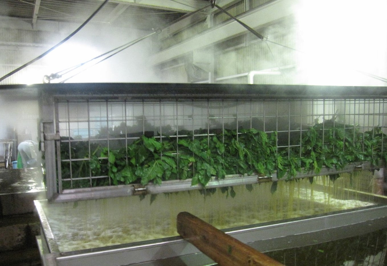 独自製法を活用